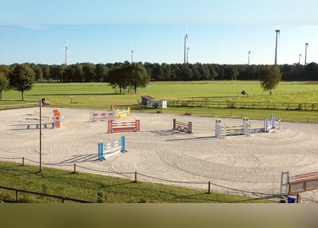 Boxen (-trakt) auf Top Sportanlage zu vermieten