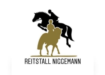 Familiäre Reitanlage hat zwei Pferdeboxen mit viel Auslauf frei