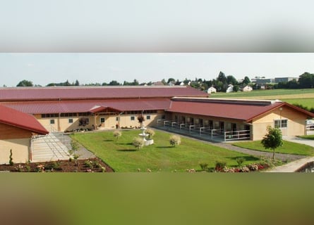 Paddockbox auf großer Reitanlage mit top Trainingsbedingungen