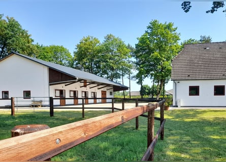 Pensionsboxen / Rehaplätze auf kleiner Anlage mit Reithalle 