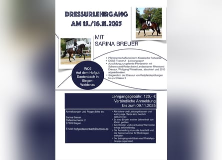 DRESSURLEHRGANG bei Pferdewirtschaftsmeisterin Sarina Breuer