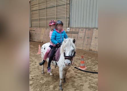 Kinderfeestje op de paardenboerderij