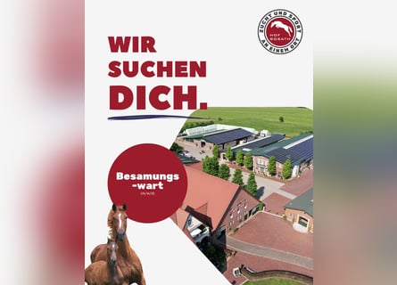 Besamungswarte aufgepasst: Team Sosath sucht Unterstützung für die Hengststation