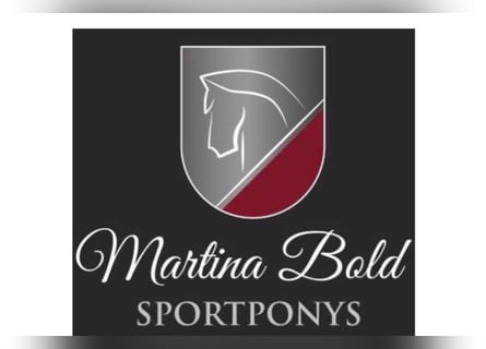 Pfleger/Pferdewirt in Teil-oder Vollzeit gesucht 