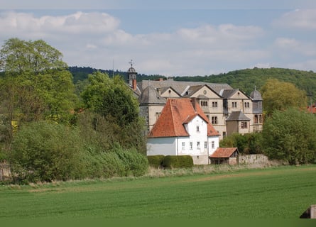 Landwirtschaftlicher Mitarbeiter mit guter Qualifikation in Teil- oder Vollzeit