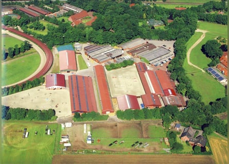 Motivated insemination technician (m/f) wanted for the Paul Schockemöhle breeding station!