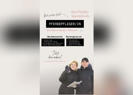 Pferdepfleger/in