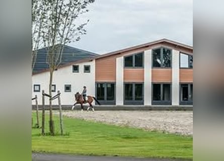 Job Opportunity – Dressage Rider