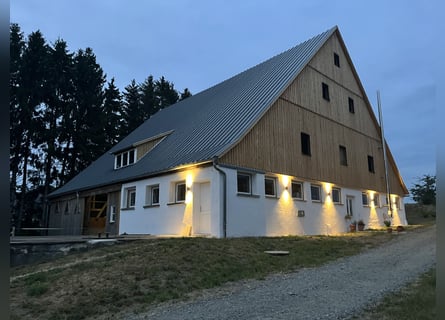 Boerderij met rijhal, schuur en een perceel van 45.000 m²
