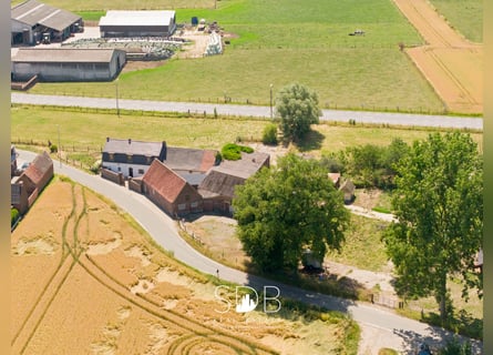 Charmante hoeve met bijgebouwen en graslanden op 27.559m² te Herzele | België