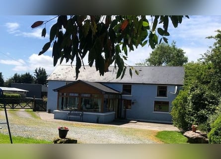 Equestrian Centres for sale in Mallow