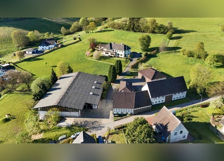 Exclusief manegecomplex in Sauerland | Landhuis, vakantiewoningen, rijhal met uitbreidingsmogelijkhe