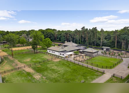 Exclusive Villa with Guesthouse and Equestrian Facilities near De Meinweg National Park