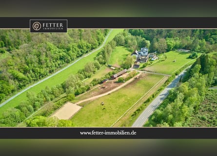 Historisches Mühlenanwesen mit Hotelbetrieb, Pferdepension und Entwicklungspotenzial im Hochtaunus!