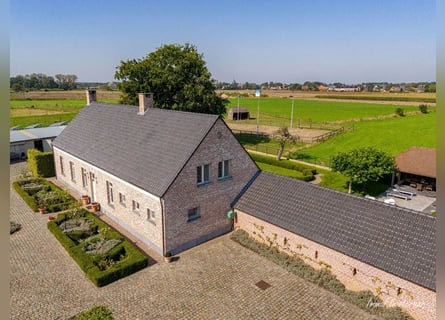 Hoogwaardig afgewerkte villa met stalgebouw en aanpalende weides op ca. 1,7 ha te Herenthout