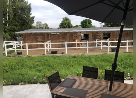 Kleine Reitanlag mit Wohnhaus zu Verkaufen