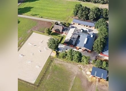 Kompletter Stalltrakt 8 Pferdeboxen zu verpachten 
