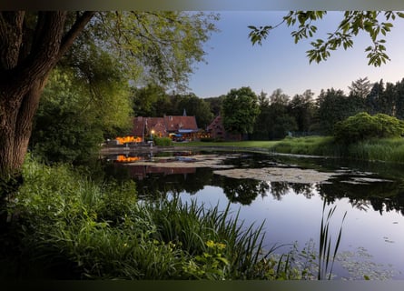 Landgoed van ca. 6 Ha met karakteristieke kasteelhoeve en prachtige parktuin