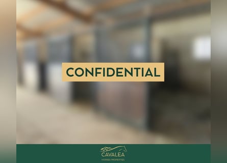 Luxe multifunctioneel paardenpension met meerdere inkomstenbronnen – Zuid-Frankrijk