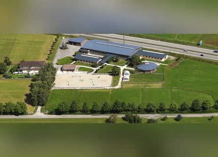 Oost-Zwitserland - Exclusief manegecomplex met een mediterrane villa en uitgestrekt landgoed