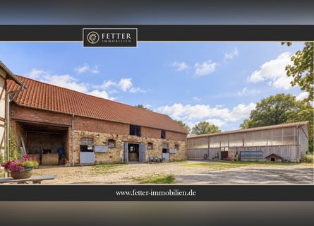 Paardenaccommodatie bij Wolfsburg te koop met ruimte voor ongeveer 18 paarden!