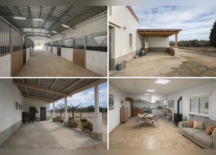 Paardensportcentrum in Noord-Castellón