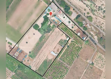 Paardrijcentrum in Castellón // Centrum voor paardensport in Castellón Sur