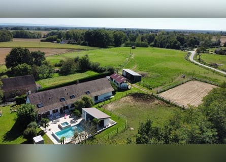 Paardrijk oase van rust