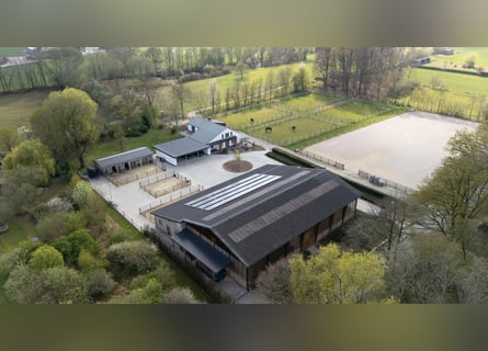 Private Reitanlage - top renoviert inkl. Halle, großer Außenplatz und Wiesen. alles eingezäunt.