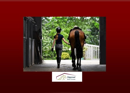 Professioneel paardensportcentrum in Noordrijn-Westfalen