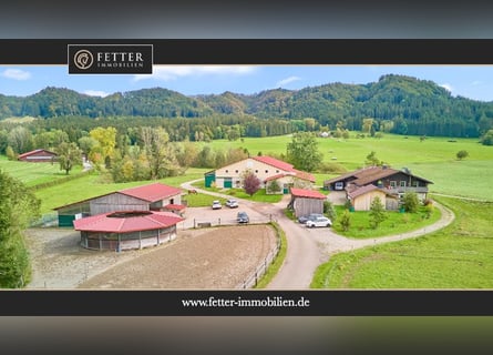 Reitanlage im Allgäu in malerischer Natur- Leben zwischen Bergen und Wäldern!