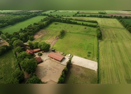 Reitanlage in idyllischer Lage im Ammerland