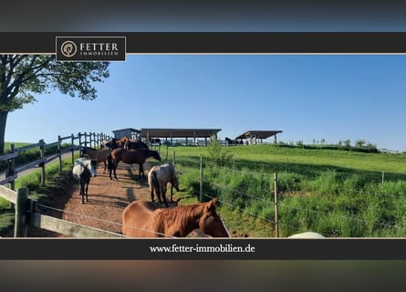 Reitanlage in Rheinland-Pfalz – moderner Aktivstall im Donnersbergkreis!