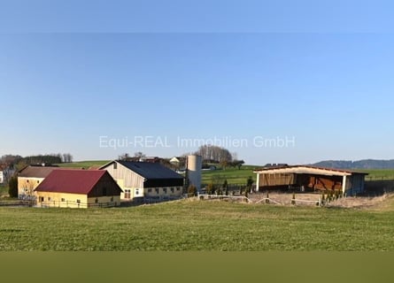 Reitanlage mit Vierseithof