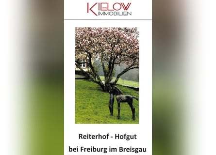 Reiterhof - Hofgut bei Freiburg im Breisgau