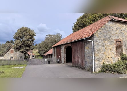 Resthof mit idyllischem Bachlauf auf 3,5 ha zu verkaufen