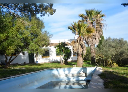 Ruhe pur - Finca in Vejer