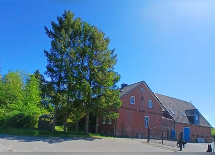 Seelenruhe für Mensch und Tier- kernsaniertes Landhaus mit Scheune und Pferdeweide
