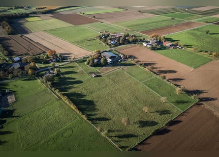TOP Pferdehof in Auggen / Markgräflerland