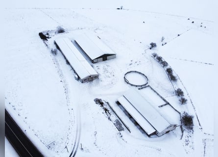 Traumhafte Reitanlage mit Reiterstube – Alleinlage inmitten Südthüringer Natur + perfekte Anbindung