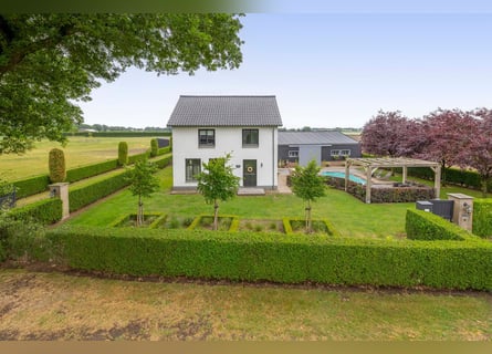 Unique equestrian property with 10 stables & outdoor arena near forest trails
