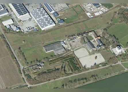 Vergabe der Reitsportanlage Monaise im Erbbaurecht