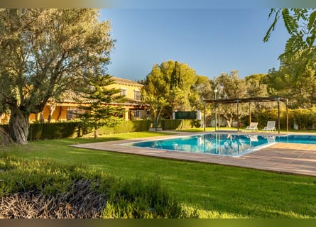 WUNDERSCHÖNE, HOCHWERTIGE FINCA MIT REITANLAGE/WONDERFUL,  LUXURY LANDHOUSE WITH RIDING FACILITY WUNDERSCHÖNE, HOCHWERTIGE FINCA MIT REITANLAGE/WONDERFUL,  LUXURY LANDHOUSE WITH RIDING FACILITY