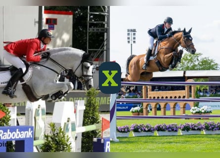 Weitere Warmblüter, Unbekannt, Embryo