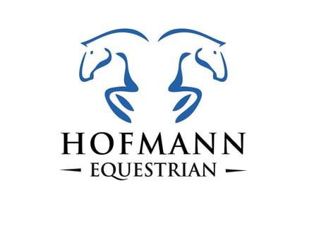 Westphalian, Gelding, 8 years, 16.3 hh, Grey