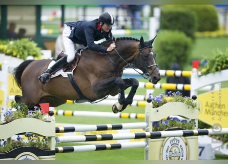 Zangersheider, Unbekannt, Embryo