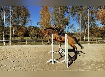 Lydo