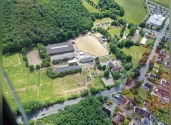 Vollpensionsbox auf gepflegter Sportanlage 