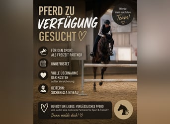 Pferd zur Verfügung gesucht