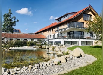 Stud farm with Alpine view in the idyllic Allgäu V4104